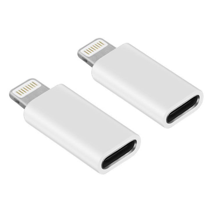 Type C 3.1 Female to Lightning Male Adapter
